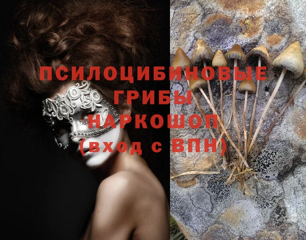 меф Абинск