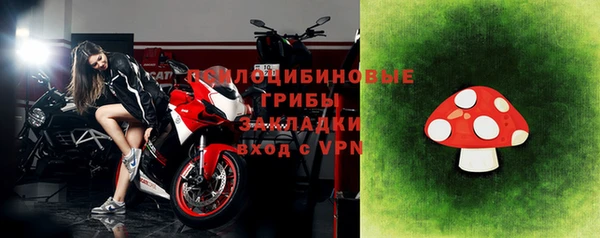 ECSTASY Абаза