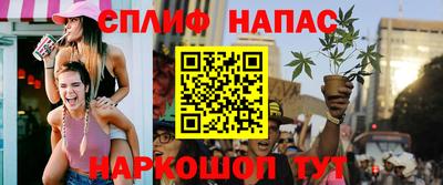 СК Краснодар