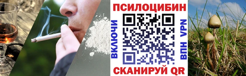 Галлюциногенные грибы Psilocybine cubensis  Ирбит 