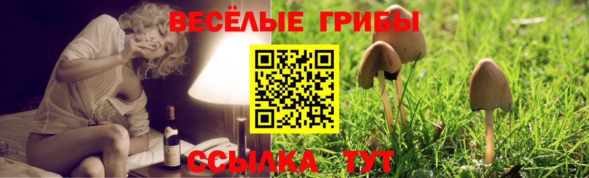 Псилоцибиновые грибы ЛСД Ирбит