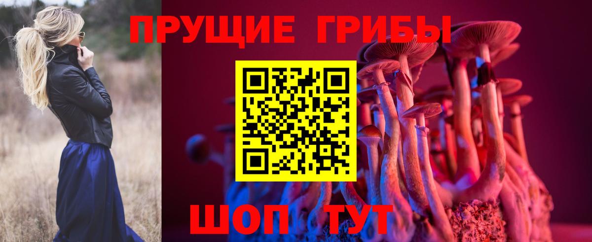 Галлюциногенные грибы мухоморы  Вход с VPN  Ирбит  закладка  Псилоцибиновые грибы прущие грибы 